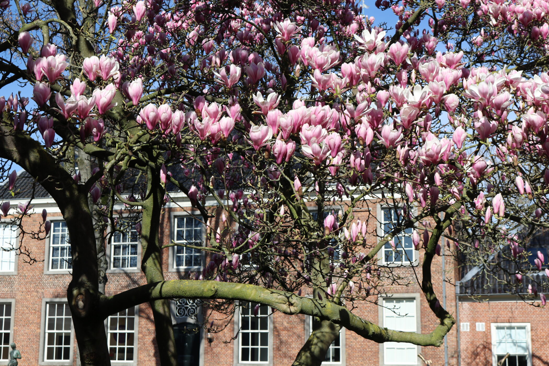 Tweede Paasdag geopend – extra activiteit